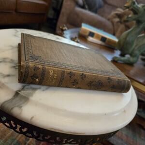 1888 First Edition The Professor's Sister: A Romance by Julian Hawthorne